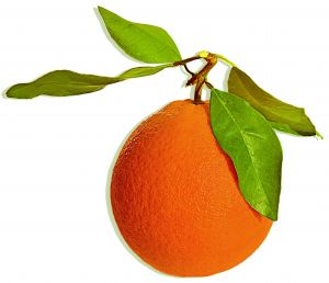 dieta cu portocale