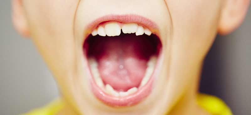 dezvoltarea ocluziei dentare