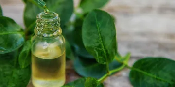 Melaleuca – PLANTA Foarte PUTERNICĂ având efect BECTERICID și ANTIINFLAMATOR