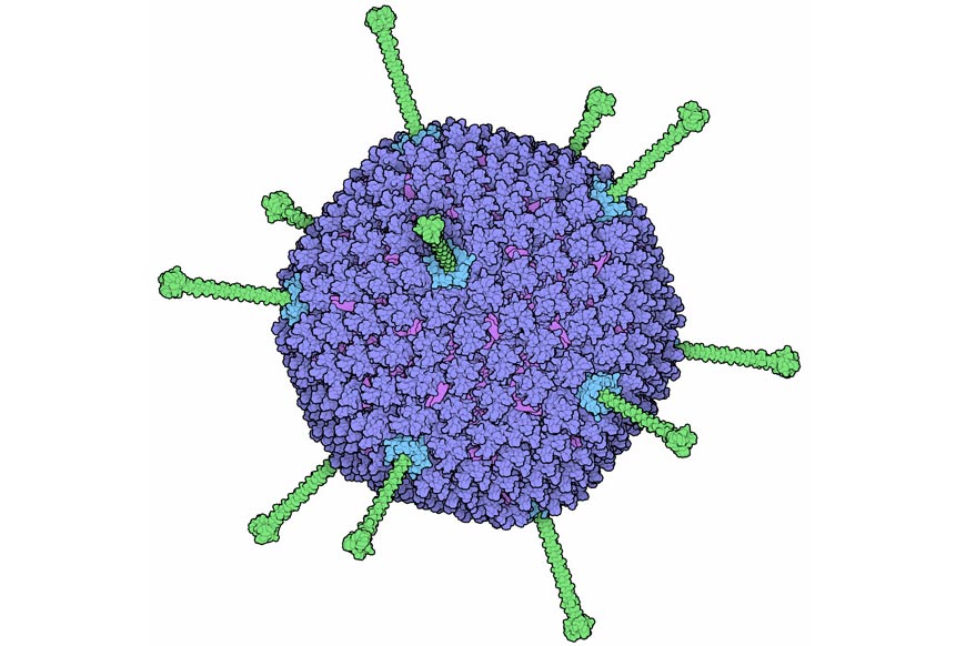 ce-este-infectia-cu-adenovirus-si-care-sunt-simptomele