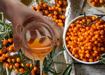 ulei-de-catina-beneficii